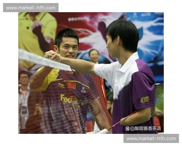 巅峰对决,王者归来:2012林丹vs李炫一,一场载入史册的羽毛球盛宴